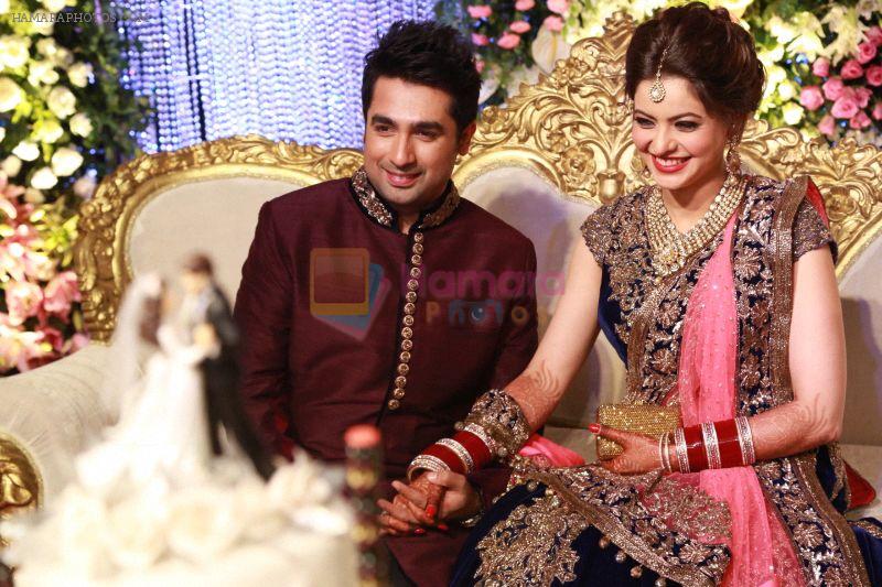 Aamna Sharif and Amit Kapoor Wedding Pictures