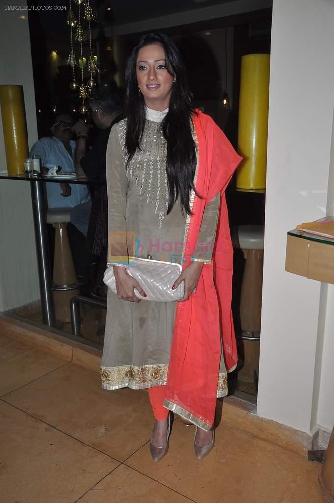 Brinda Parekh at Krishna Hegde's brunch in Mumbai on 29th Dec 2013