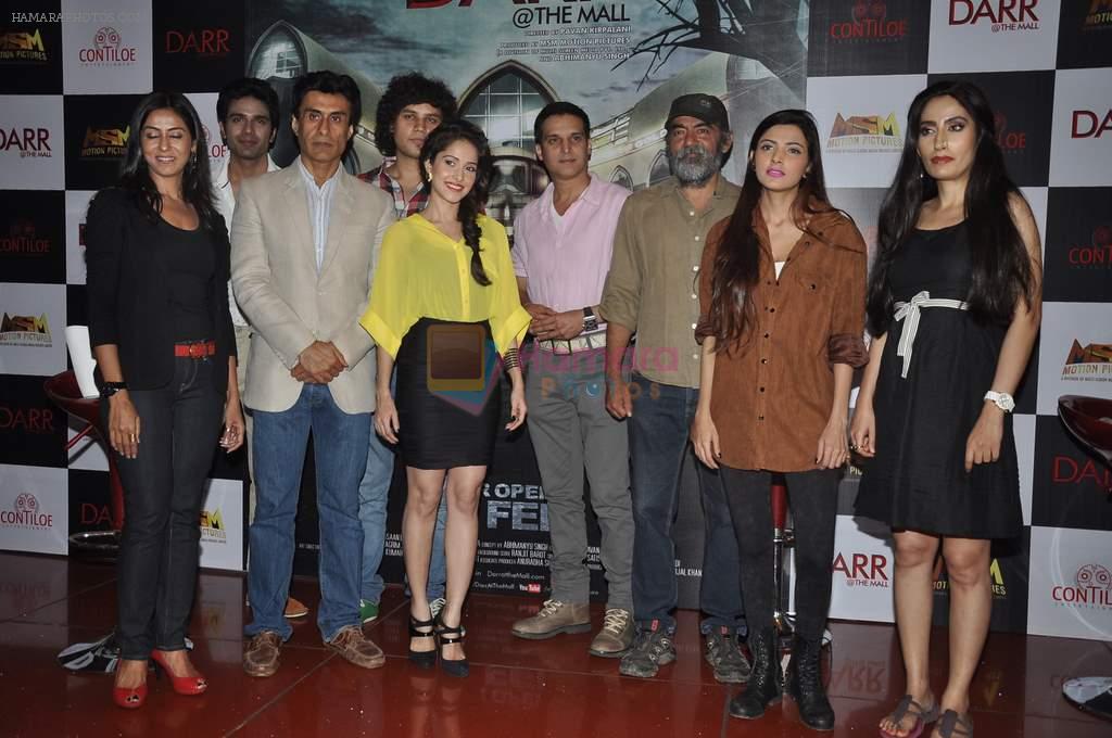 Nushrat Bharucha, Jimmy Shergill, Nivedita Bhattacharya, Pawan Kripalani,Asif Basra at the First look launch of Darr @The Mall in Cinemax, Mumbai on 7th Jan 2014