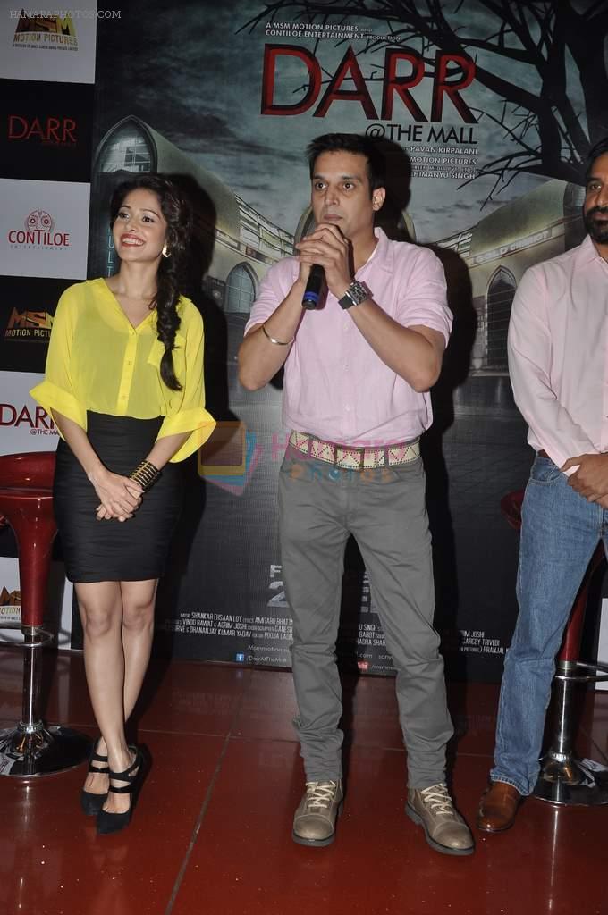 Jimmy Shergill, Nushrat Bharucha at the First look launch of Darr @The Mall in Cinemax, Mumbai on 7th Jan 2014