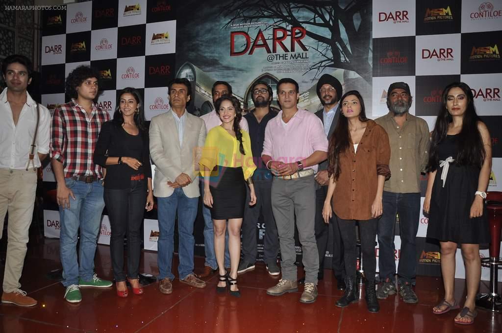 Nushrat Bharucha, Jimmy Shergill, Nivedita Bhattacharya, Pawan Kripalani,Asif Basra at the First look launch of Darr @The Mall in Cinemax, Mumbai on 7th Jan 201