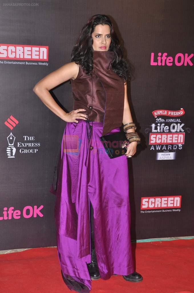 Sona Mohapatra at 20th Annual Life OK Screen Awards in Mumbai on 14th Jan 2014