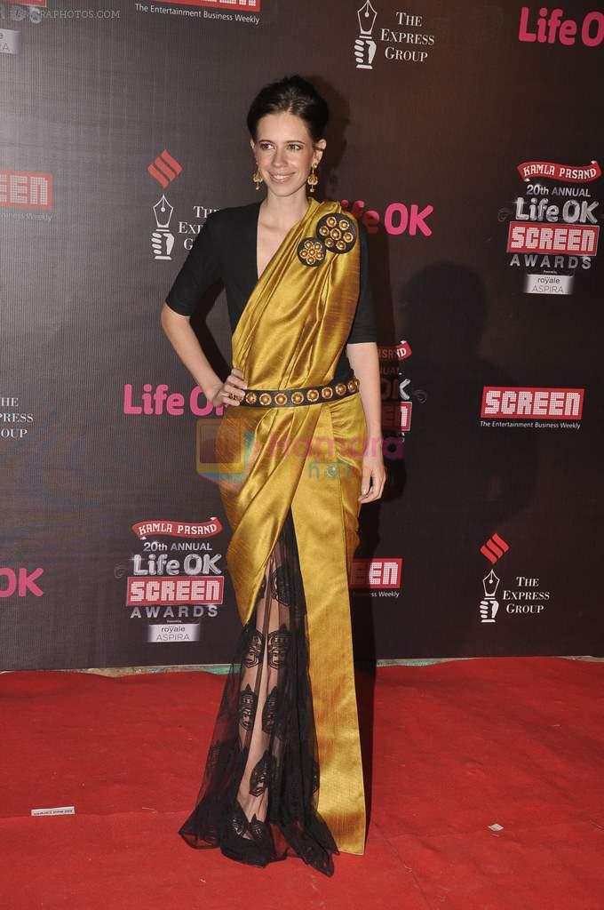 Kalki Koechlin at 20th Annual Life OK Screen Awards in Mumbai on 14th Jan 2014
