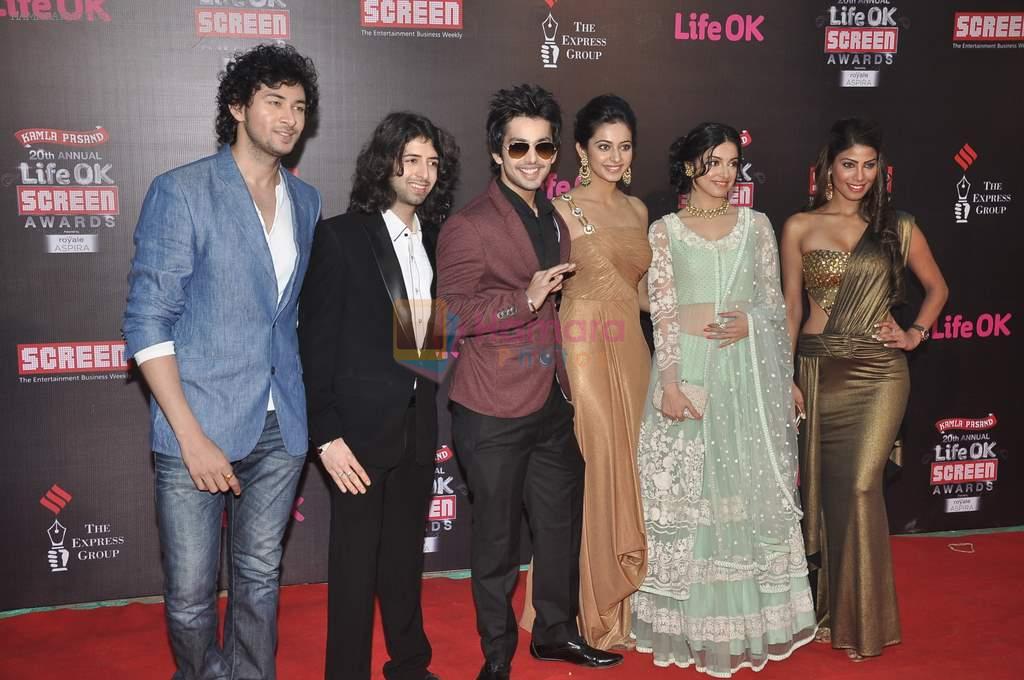 Divya Khosla at 20th Annual Life OK Screen Awards in Mumbai on 14th Jan 2014