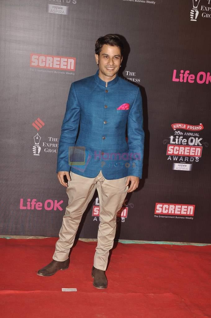Kunal Khemu at 20th Annual Life OK Screen Awards in Mumbai on 14th Jan 2014