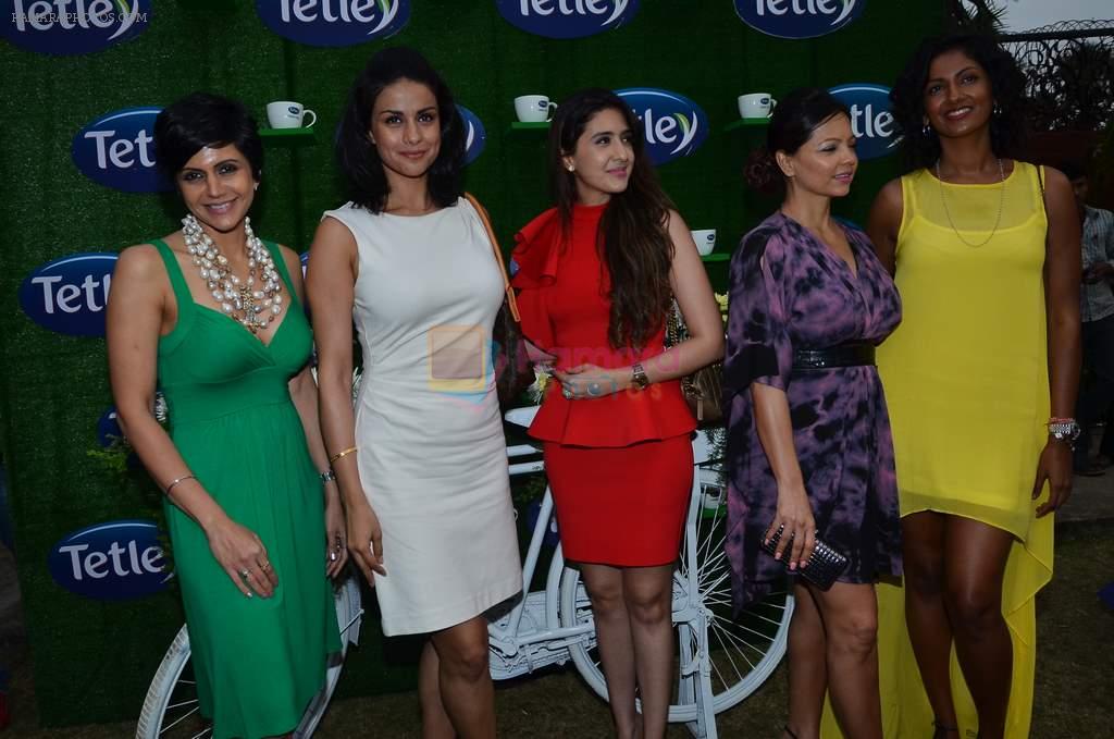 Mandira Bedi, Gul Panag, Rahul Akerkar, Pooja Makhija, Deanne Pandey, Sheetal Malhar at Tata Tetley event in Mumbai on 21st Jan 2014