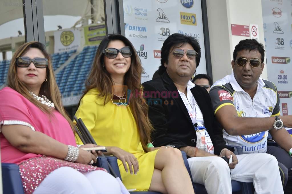 Tanisha Mukherjee at CCL Match of Mumbai Heroes Vs Telugu Warriors in Dubai on 1st Feb 2014