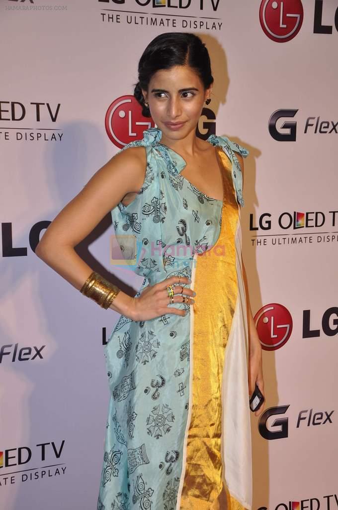 Sonia Mehra at LG event in Mumbai on 6th Feb 2014