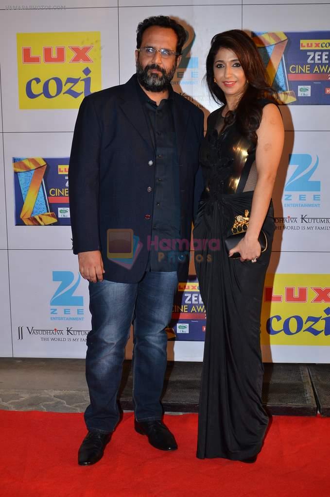 Krishika Lulla at Zee Awards red carpet in Filmcity, Mumbai on 8th Feb 2014