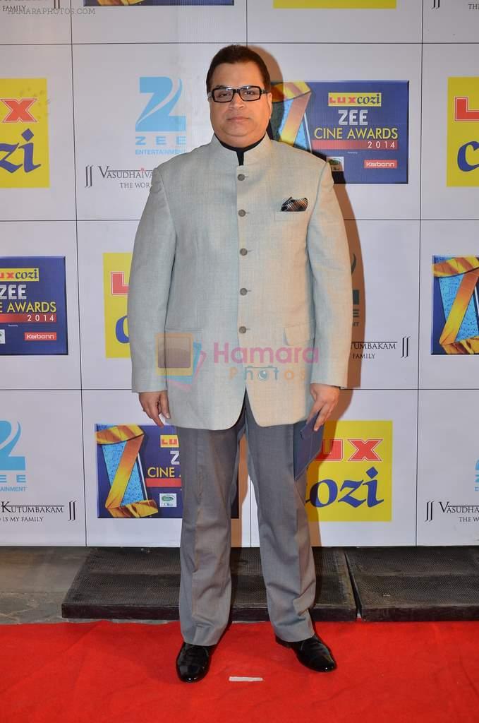 Ramesh Taurani at Zee Awards red carpet in Filmcity, Mumbai on 8th Feb 2014