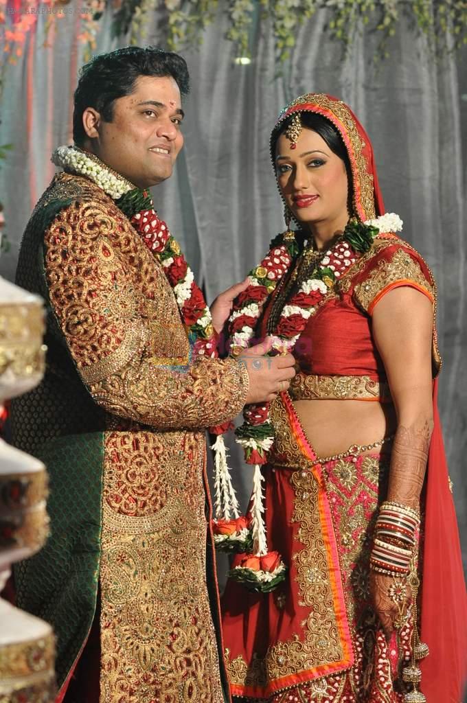 Brinda Parekh and Ajay's Wedding in Sakinaka, Mumbai on 8th Feb 2014