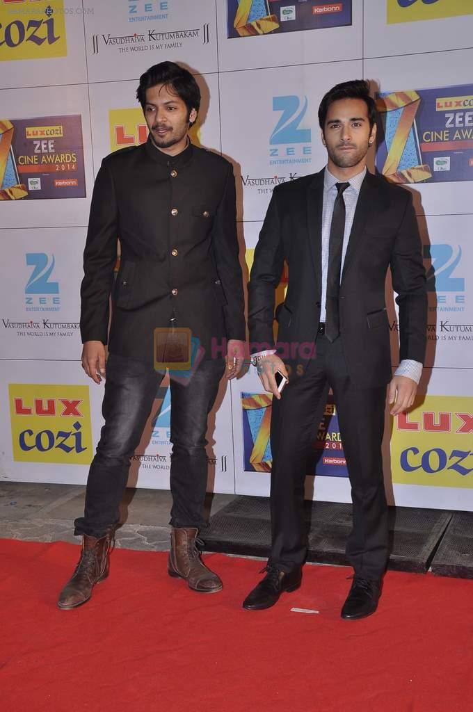 Ali Fazal, Pulkit Samrat at Zee Awards red carpet in Filmcity, Mumbai on 8th Feb 2014