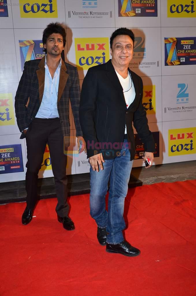Nikhil Dwivedi at Zee Awards red carpet in Filmcity, Mumbai on 8th Feb 2014