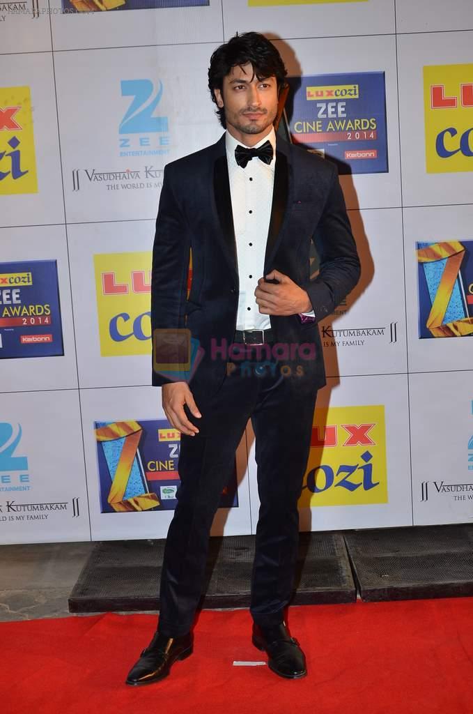 Vidyut Jamwal at Zee Awards red carpet in Filmcity, Mumbai on 8th Feb 2014