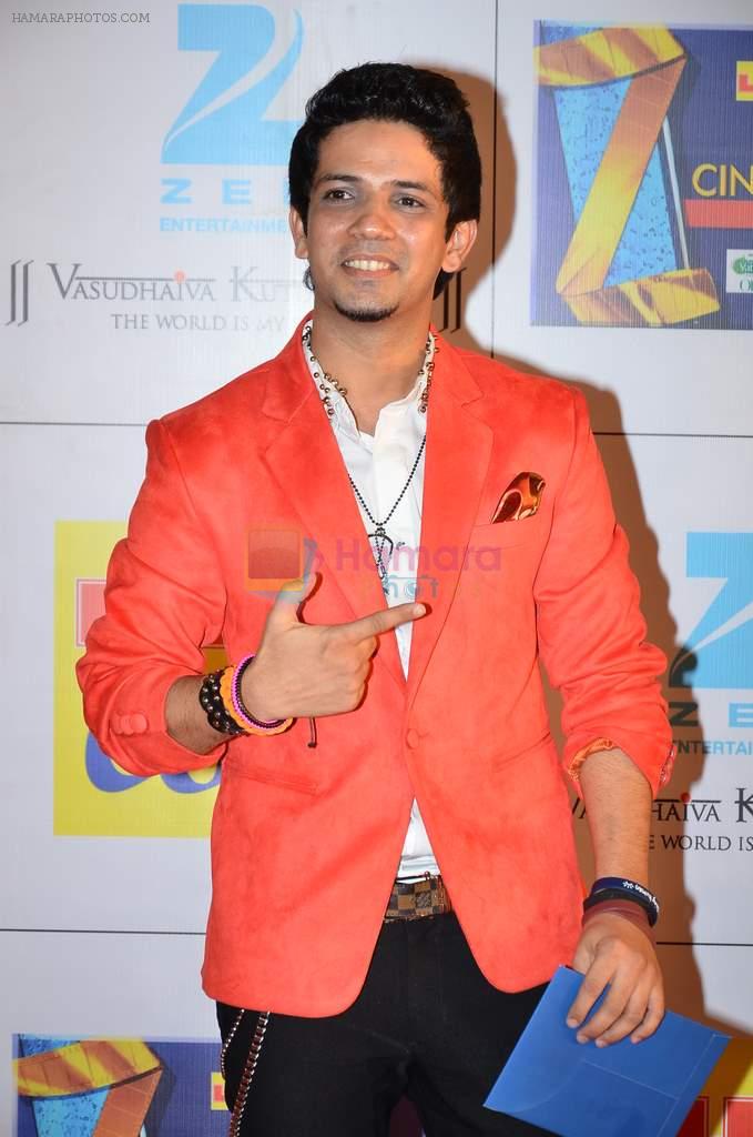 at Zee Awards red carpet in Filmcity, Mumbai on 8th Feb 2014
