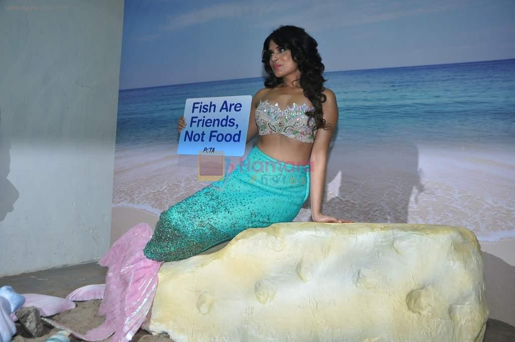 Richa Chadda at Peta shoot as a mermaid in Mehboob, Mumbai on 14th Feb 2014