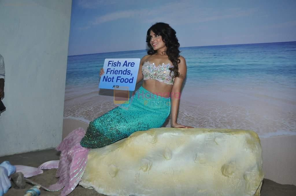 Richa Chadda at Peta shoot as a mermaid in Mehboob, Mumbai on 14th Feb 2014