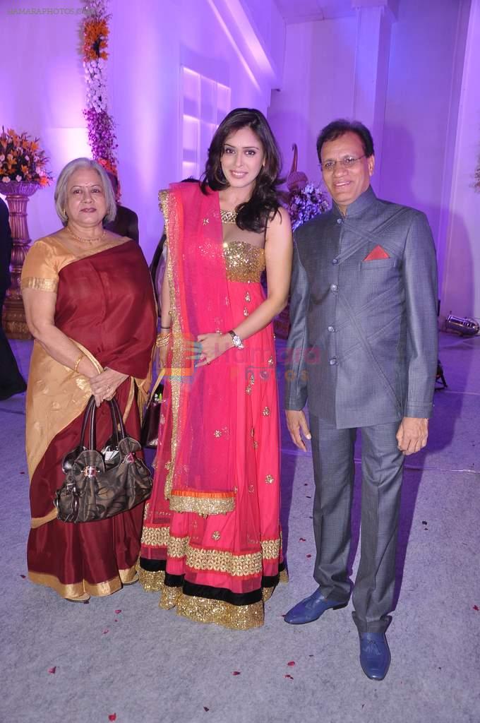 Hrishita Bhatt at Miraj Group's Madan Paliwal's daughter Devdhooti and Vikas Purohit's reception in Udaipur on 18th Feb 2014