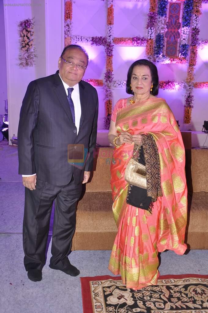 Asha Parekh at Miraj Group's Madan Paliwal's daughter Devdhooti and Vikas Purohit's reception in Udaipur on 18th Feb 2014