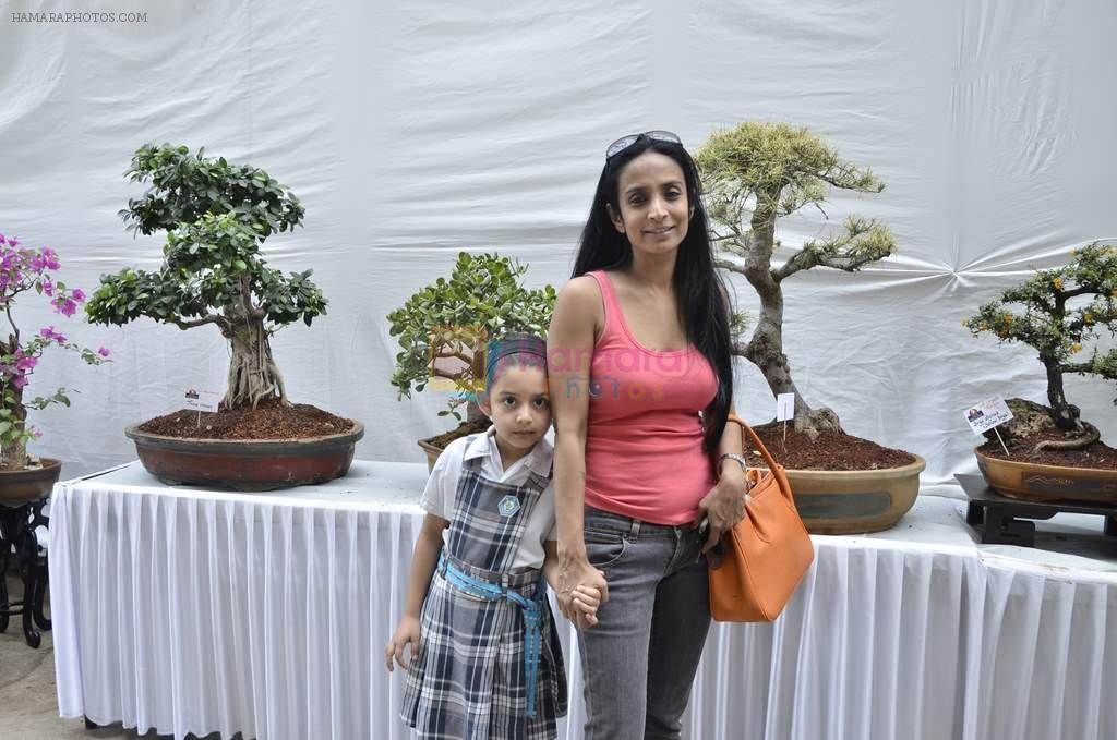 Suchitra Pillai at Jamnabai's Bonzai exhibition in Juhu, Mumbai on 21st Feb 2014
