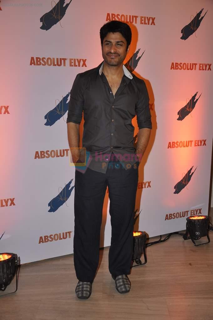 Vikas Bhalla at Absolut Elyx in Palladium, Mumbai on 23rd Feb 2014