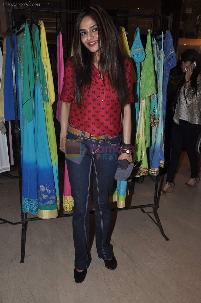 Madhoo Shah at Araish Event hosted by Sharmila and Shaan Khanna in Mumbai on 25th Feb 2014