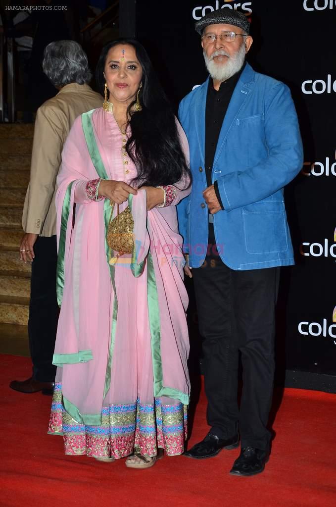 Ila Arun at Colors red carpet in Grand Hyatt, Mumbai on 1st March 2014