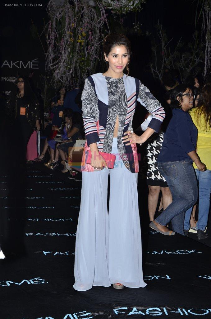 Sophie Chaudhary at Manish Malhotra Show at LFW 2014 opening in Grand Hyatt, Mumbai on 11th March 2014