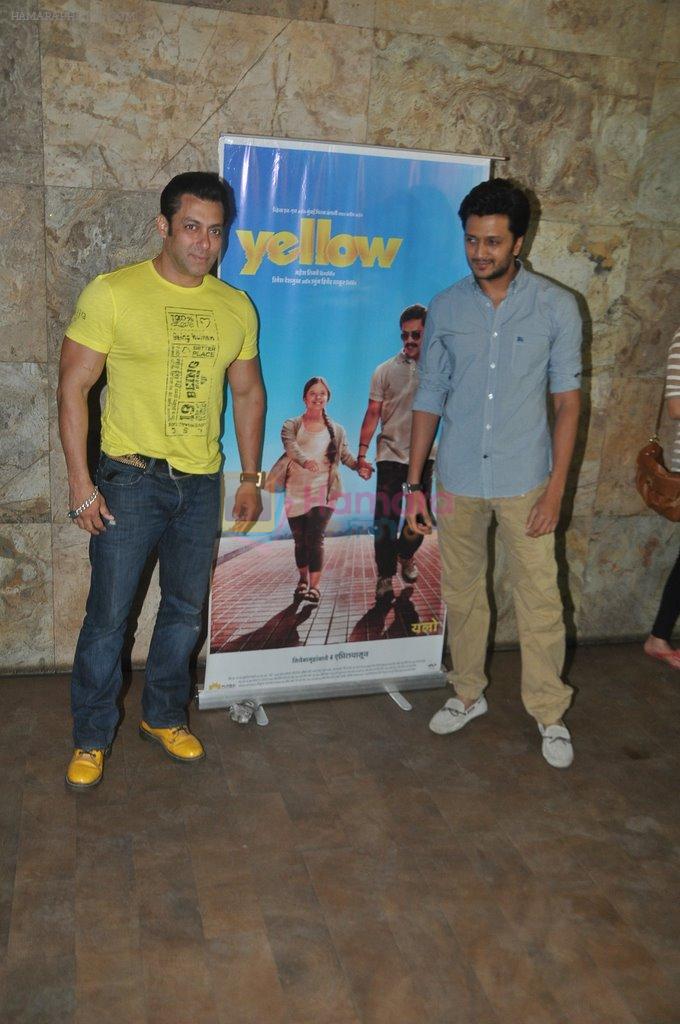 Salman Khan, Riteish Deshmukh at the special screening of Marathi film Yellow in Mumbai on 29th March 2014