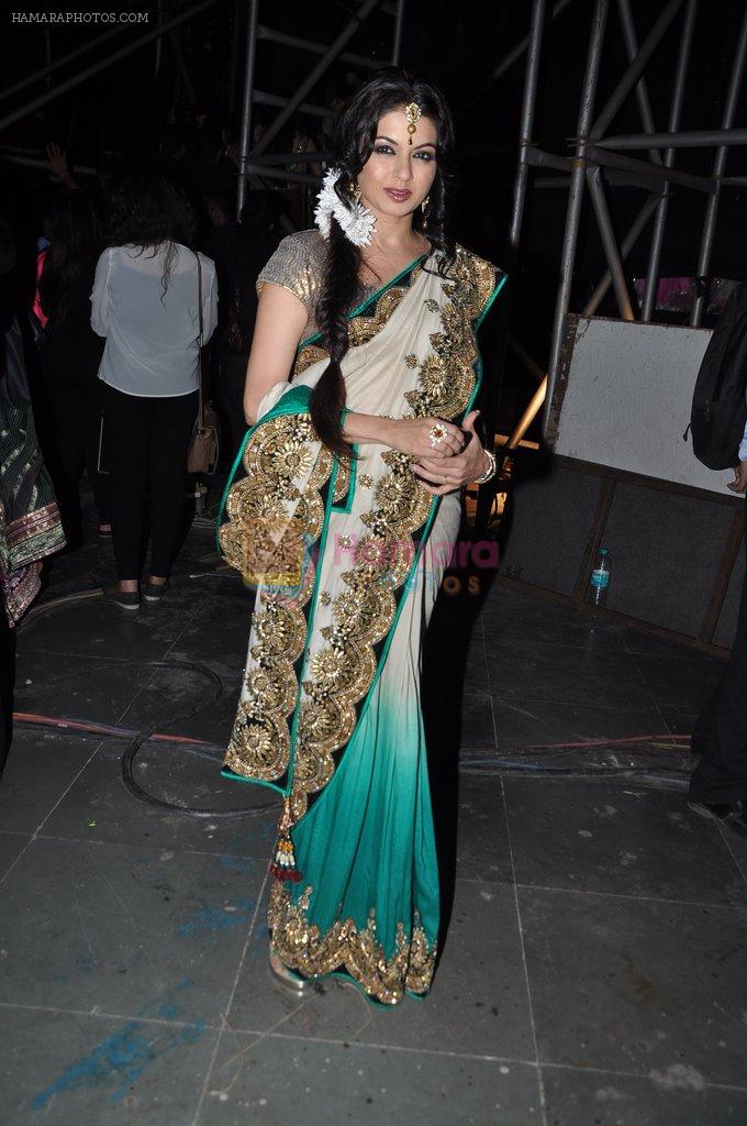 Bhagyashree at Pidilite CPAA Show in NSCI, Mumbai on 11th May 2014,1