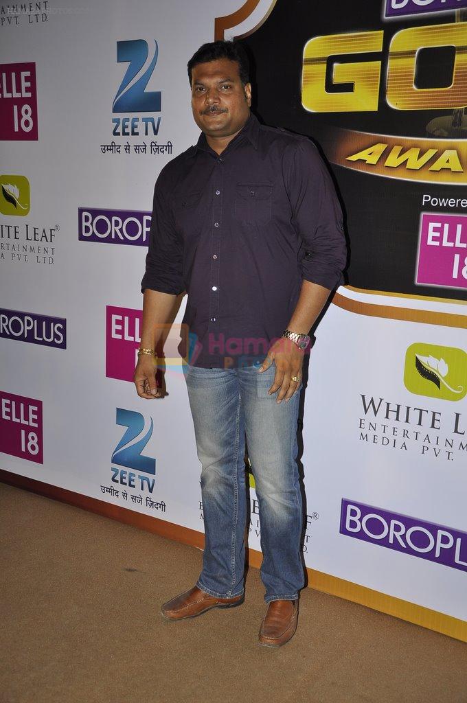 Dayanand Shetty at Gold Awards red carpet in Filmistan, Mumbai on 17th May 2014