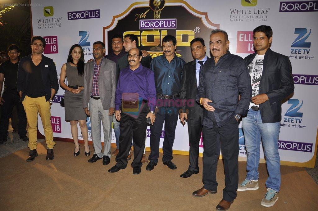Shivaji Satam at Gold Awards red carpet in Filmistan, Mumbai on 17th May 2014