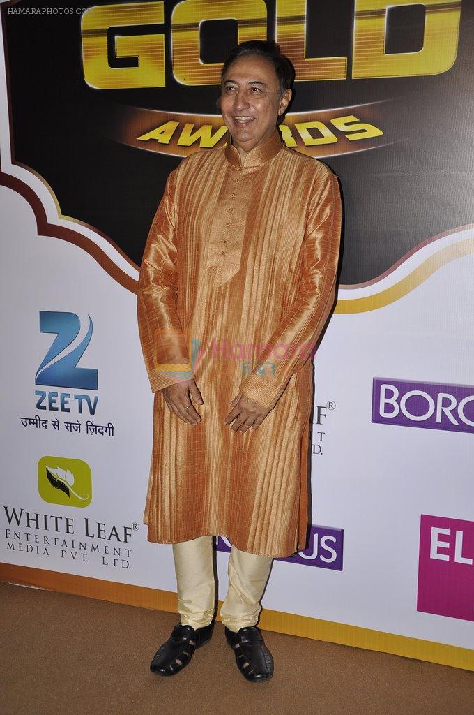 Anang Desai at Gold Awards red carpet in Filmistan, Mumbai on 17th May 2014