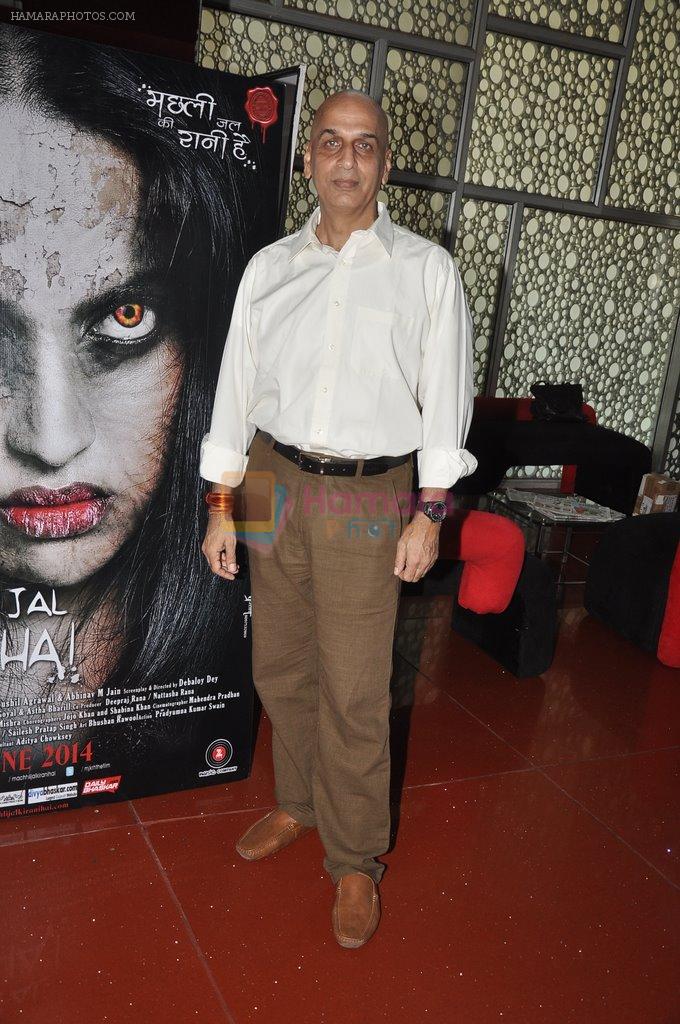 Saurabh Dubey at Machhli Jal Ki Rani Hain trailor launch in Cinemax, Mumbai on 28th May 2014