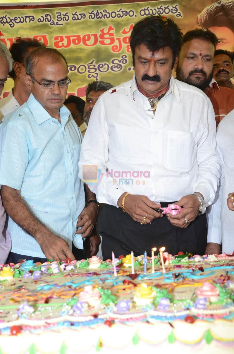 at Happy Birthday Balayya celebration by All India NBK Fans on 10th June 2014