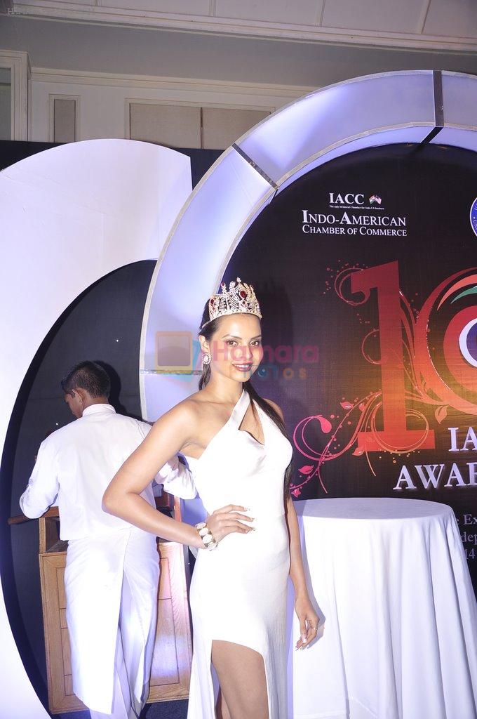 Gail Da Silva at Indo American Trade Excellence Awards 2014 in Trident, Mumbai on 2nd July 2014