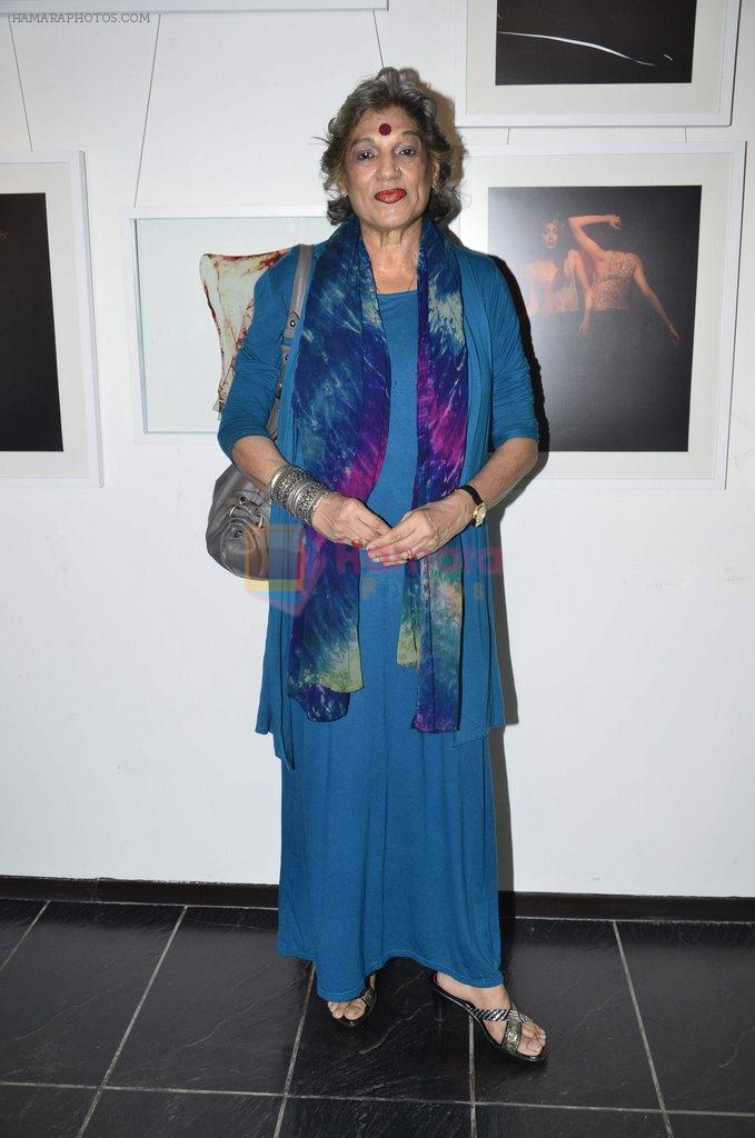 Dolly Thakore at Rajan Chaugle's Bharatiya Vidyapeeth organises photo exhibition in Worli, Mumbai on 4th July 2014