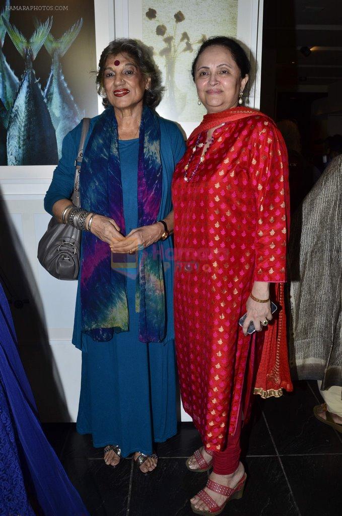 Dolly Thakore at Rajan Chaugle's Bharatiya Vidyapeeth organises photo exhibition in Worli, Mumbai on 4th July 2014