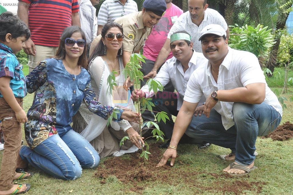 Daya Shetty at a tree plantation drive in Malad, Mumbai on 20th July 2014