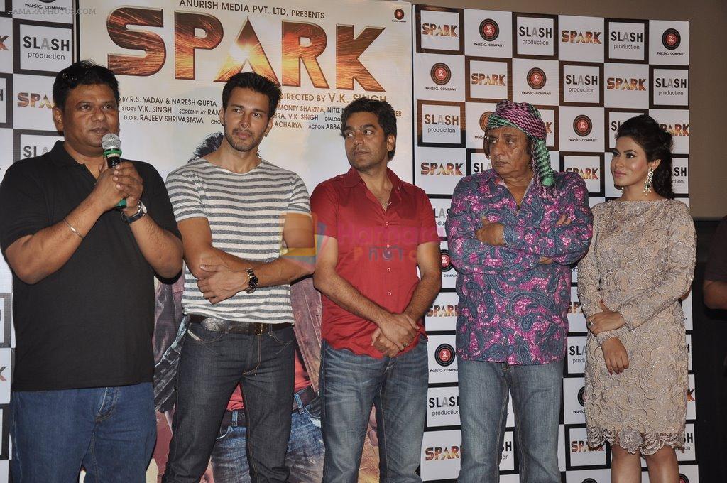 Subhasree Ganguly, Rajneesh Duggal, Ranjeet, Ashutosh Rana at the Spark trailor launch in PVR, Mumbai on 21st July 2014