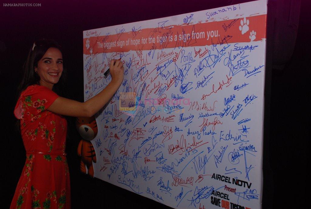 Tara Sharma at NDTV Save the tigers event on 29th July 2014