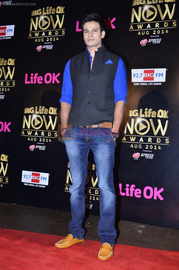 at Life Ok Now Awards in Mumbai on 3rd Aug 2014