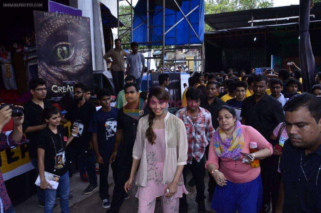 Bipasha Basu promotes Creature at Mithibai college fest in Mumbai on 16th Aug 2014