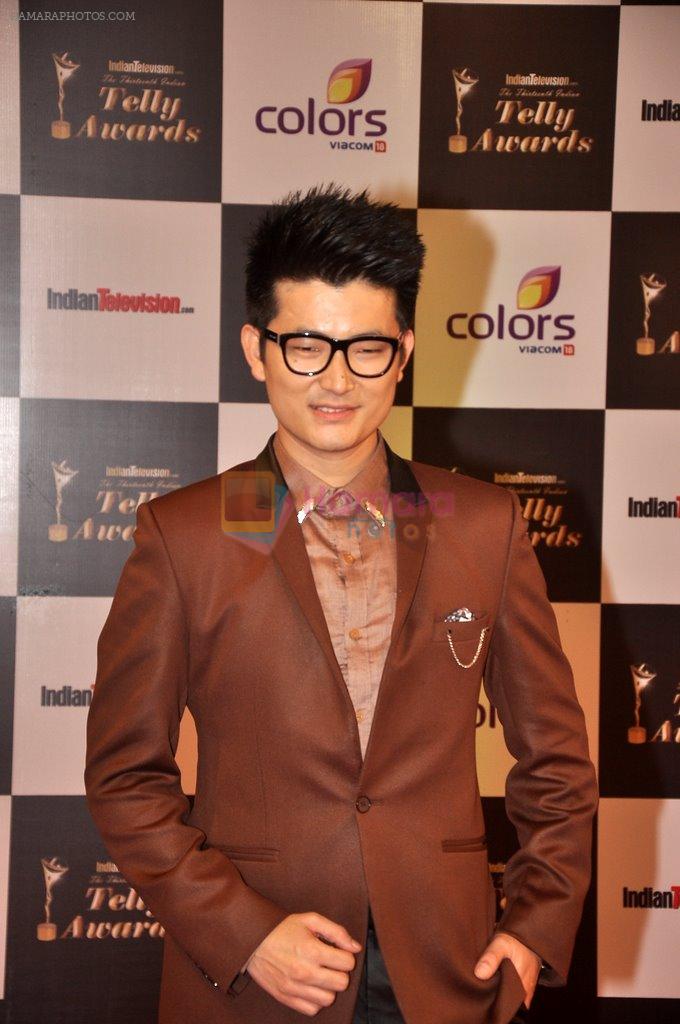 Meiyang Chang at Indian Telly Awards in Filmcity, Mumbai on 9th Sept 2014