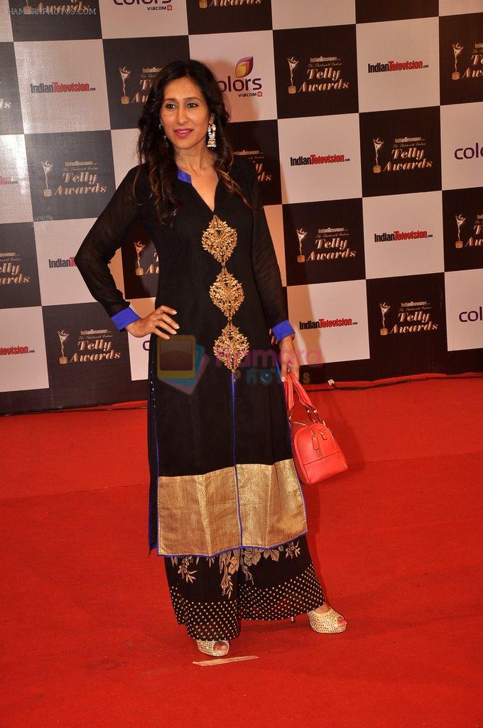 Teejay Sidhu at Indian Telly Awards in Filmcity, Mumbai on 9th Sept 2014