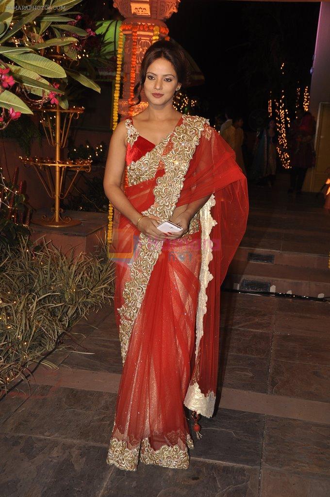 Neetu Chandra at Sachiin Joshi's Diwali bash in Mumbai on 24th Oct 2014