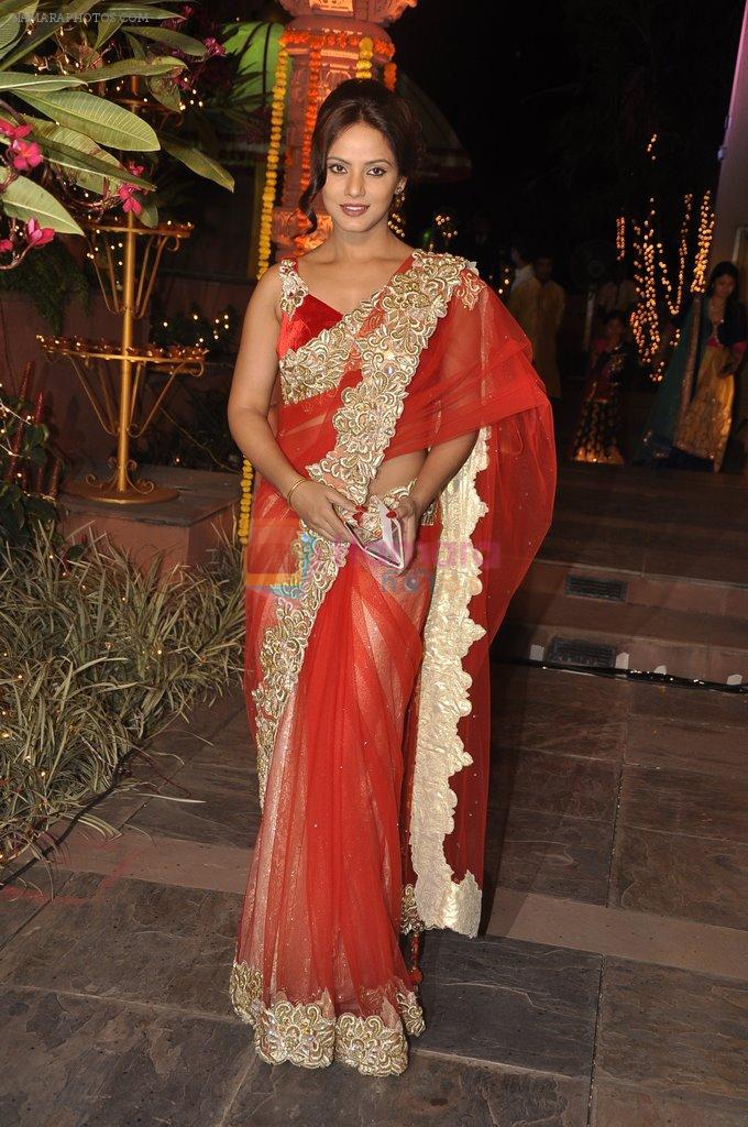 Neetu Chandra at Sachiin Joshi's Diwali bash in Mumbai on 24th Oct 2014