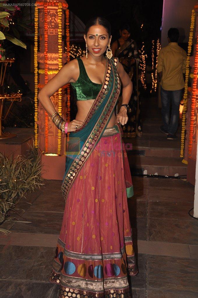 Candice Pinto at Sachiin Joshi's Diwali bash in Mumbai on 24th Oct 2014