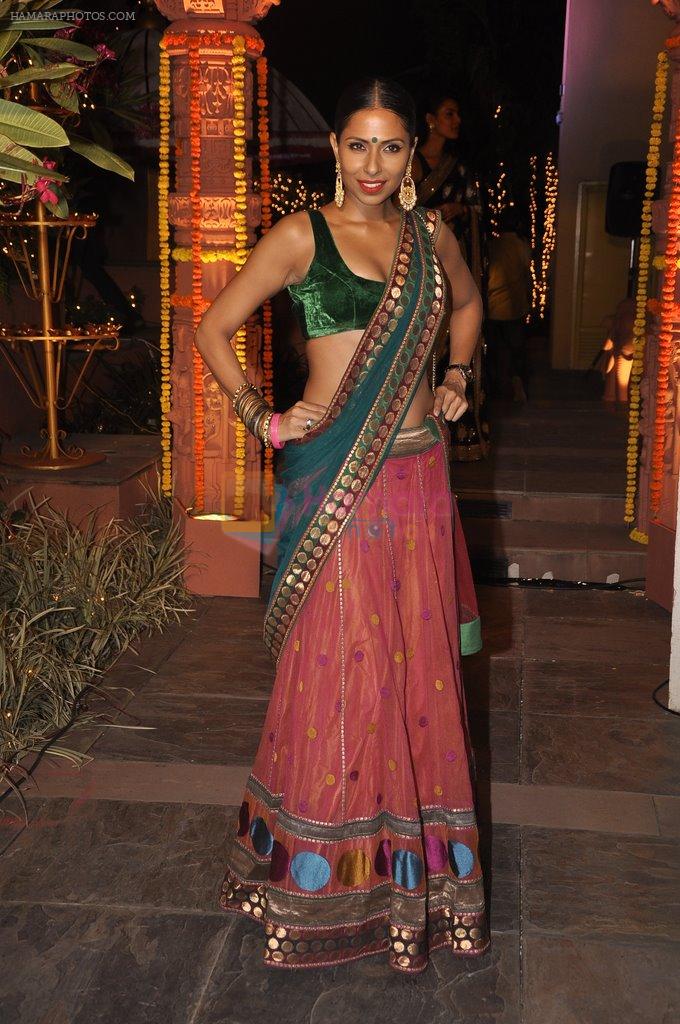 Candice Pinto at Sachiin Joshi's Diwali bash in Mumbai on 24th Oct 2014