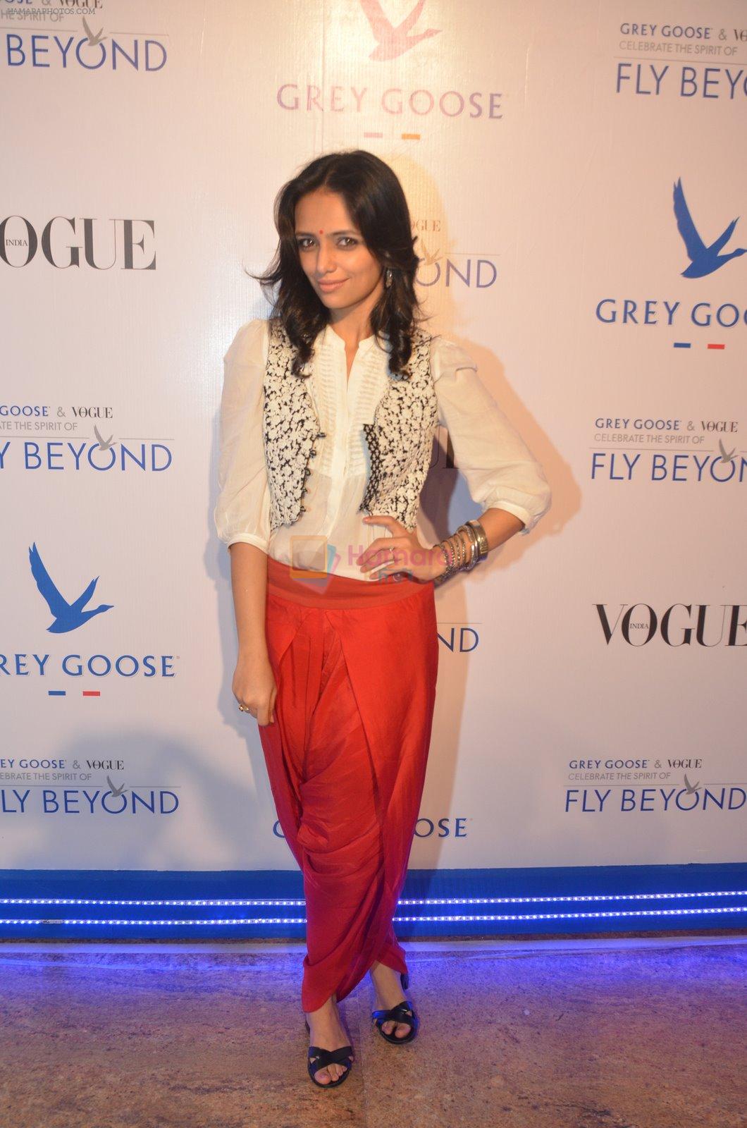 Roshni Chopra at Grey Goose India Fly Beyond Awards in Grand Hyatt, Mumbai on 16th Nov 2014